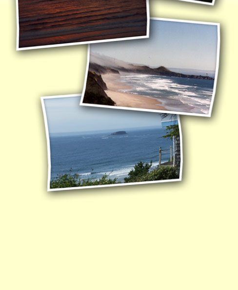 photos